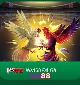 hm88